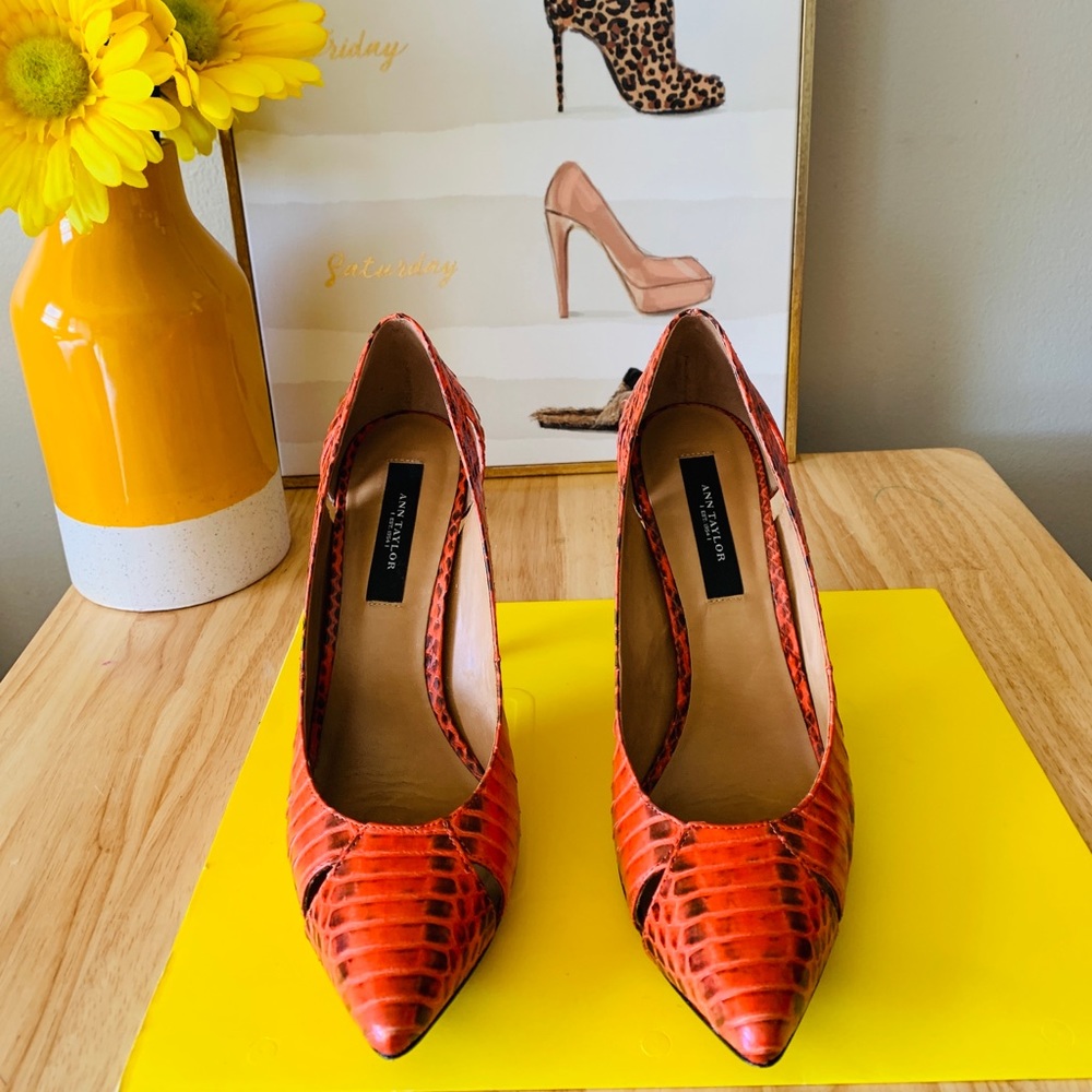 Beautiful Ann Taylor  Woman’s Pumps Shoes